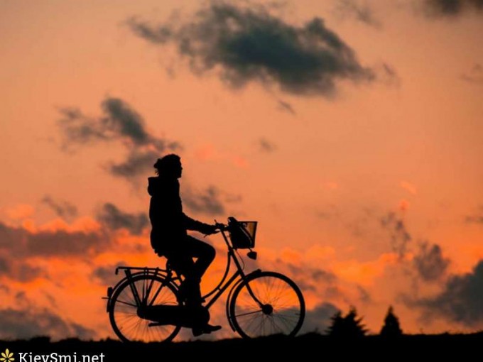 Ученые рассказали о преимуществах жизни одиноких людей Ученые рассказали о преимуществах жизни одиноких людей